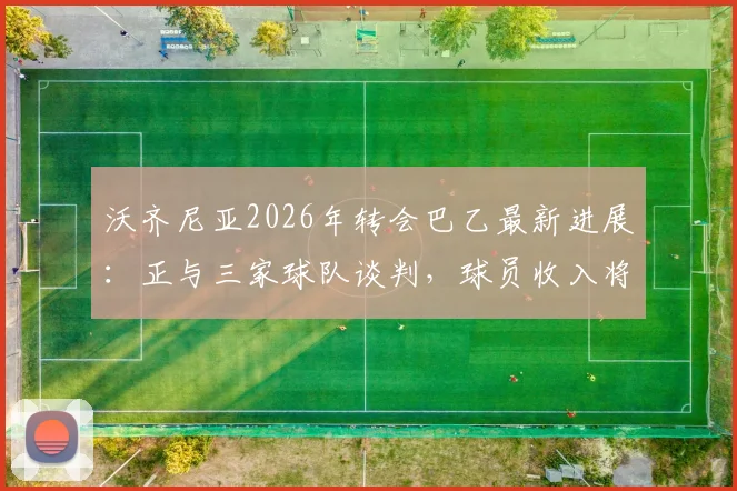 沃齐尼亚2026年转会巴乙最新进展:正与三家球队谈判,球员收入将获大幅提升